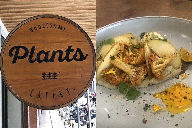 Plants: first vegan experience