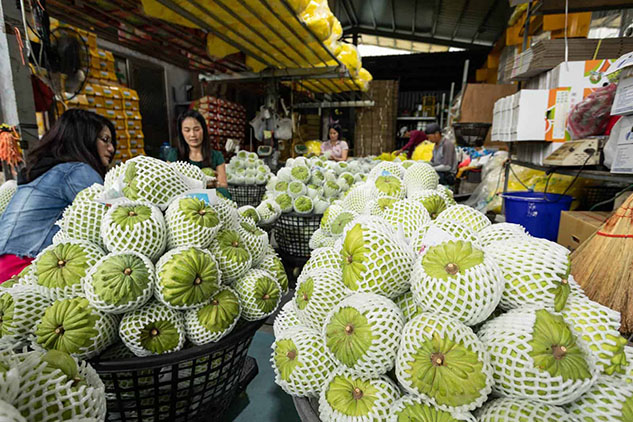 How a Community Initiative Helped Taitung Custard Apple Farmers Solve a Pandemic-Induced Export Crisis