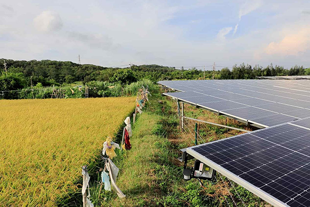 Taiwan’s Solar Power Dream Collides with Reality