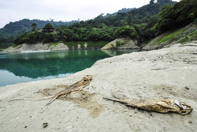 As Taiwan faces its worst-ever water shortage, what more can be done?