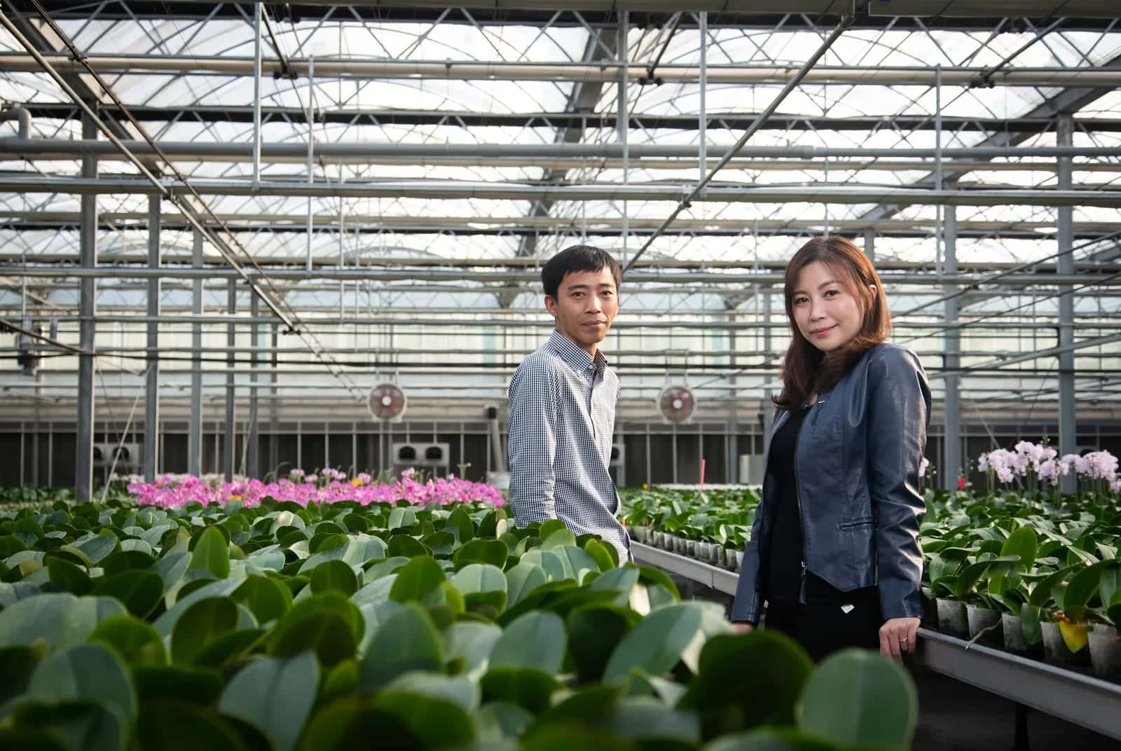 How Taiwan’s greenhouse leader found customers in 30 countries