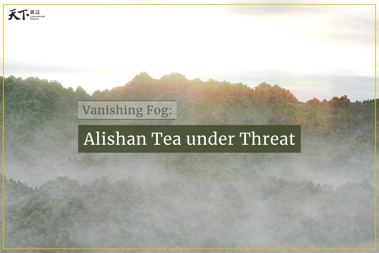 Vanishing Fog: Alishan Tea under Threat