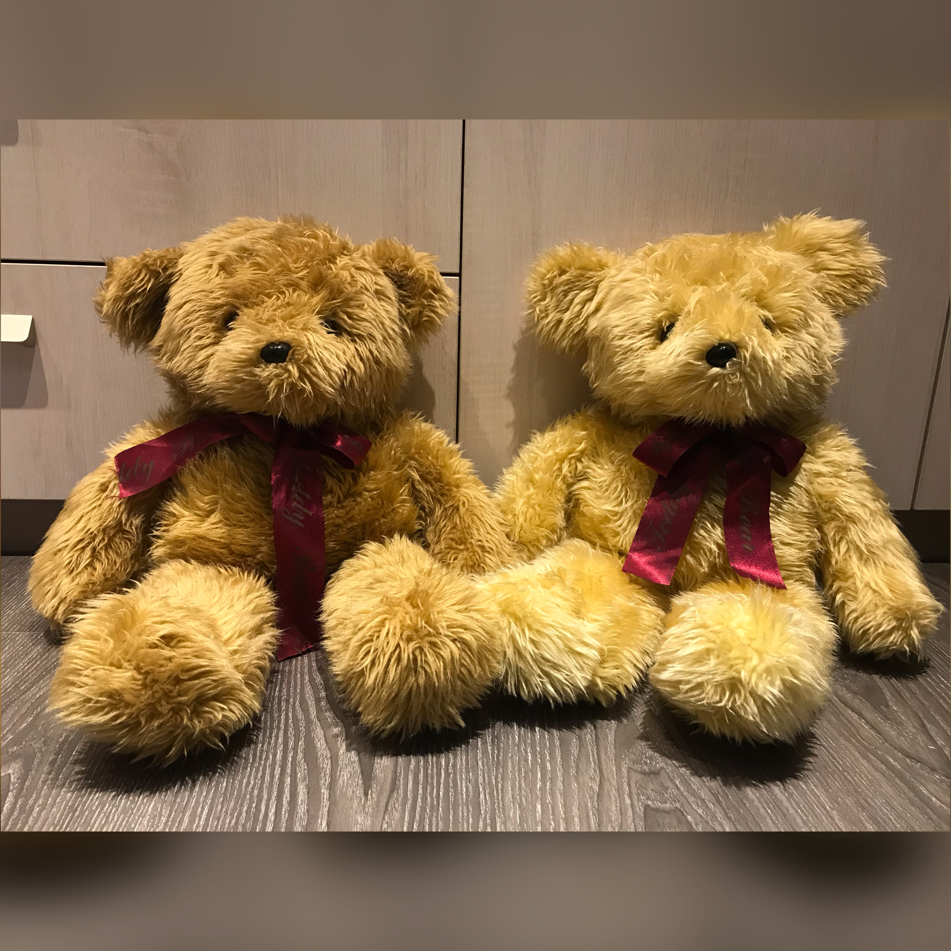 teddy bear lost and found